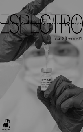 Capa da edição 20