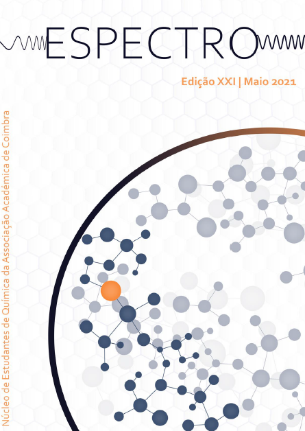 Capa da edição 21